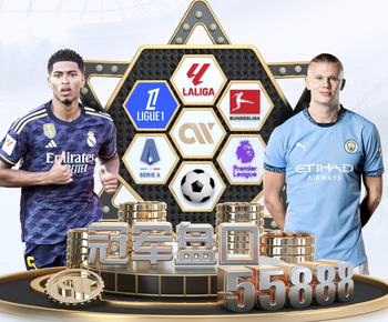 金刚赚下载安装