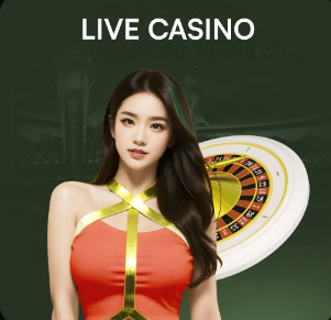 金刚赚下载安装